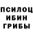 Галлюциногенные грибы GOLDEN TEACHER microtik