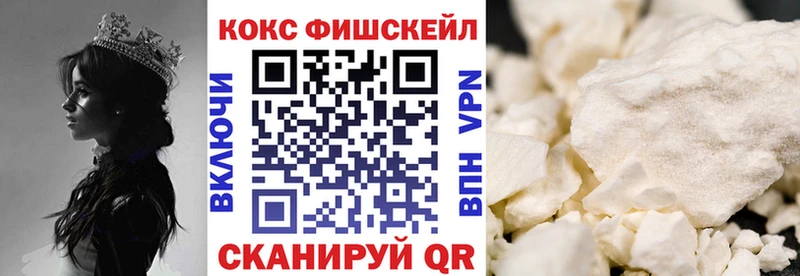 blacksprut ссылки Дербент Cocaine Fish Scale