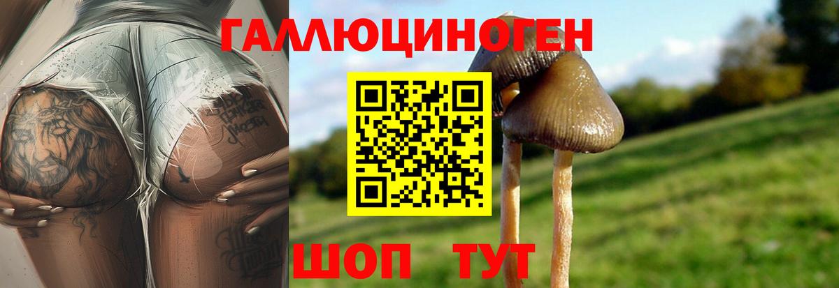 Дербент  Галлюциногенные грибы ЛСД  Вход с VPN 